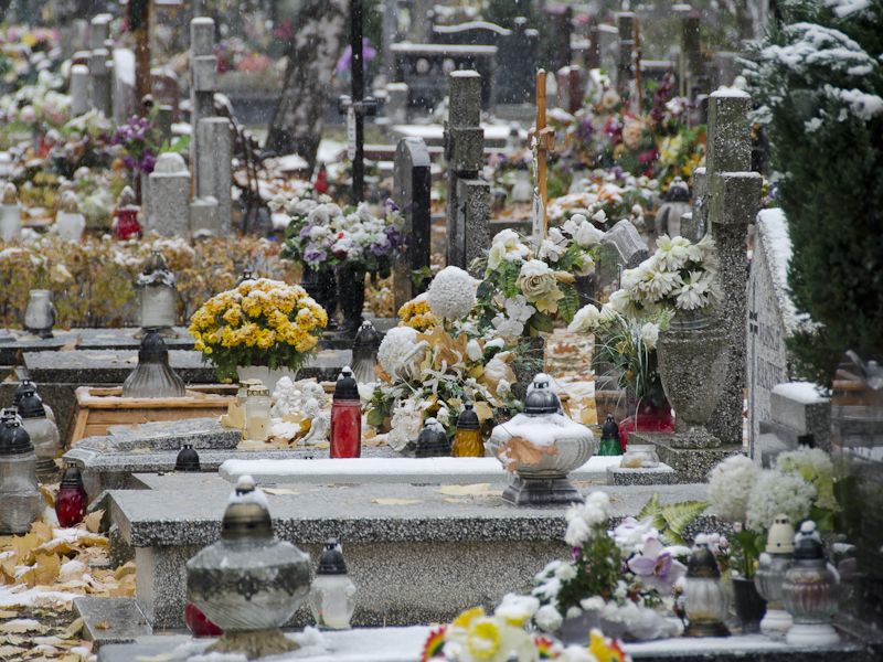 LPGK ogłasza sprzedaż miejsc na handel zniczami i kwiatami